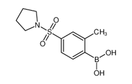 Picture of (2-Methyl-4-(pyrrolidin-1-ylsulfonyl)phenyl)boronic acid