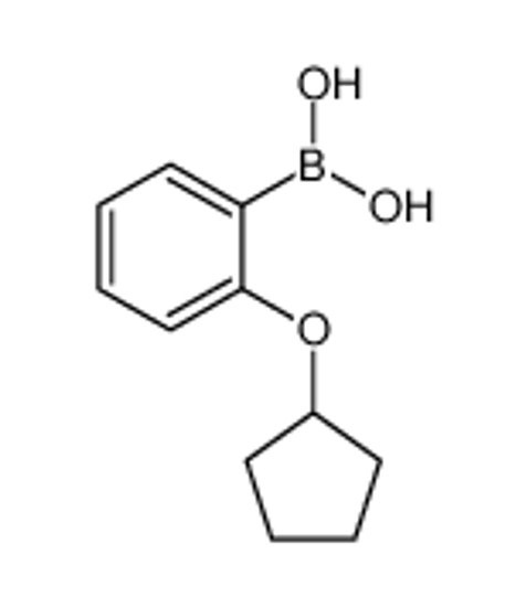 Imagem de (2-(Cyclopentyloxy)phenyl)boronic acid