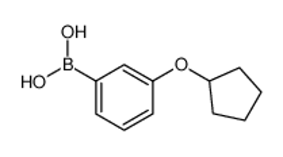 Picture of (3-(Cyclopentyloxy)phenyl)boronic acid