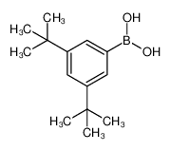 Picture of (3,5-ditert-butylphenyl)boronic acid