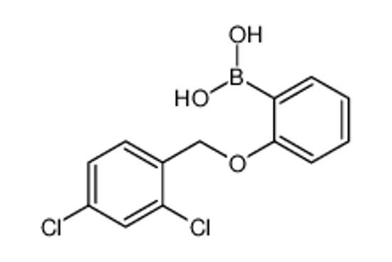 Picture of (2-((2,4-Dichlorobenzyl)oxy)phenyl)boronic acid