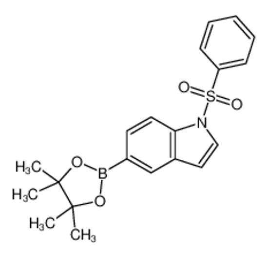 Picture of 1-(Phenylsulfonyl)-5-(4,4,5,5-tetramethyl-1,3,2-dioxaborolan-2-yl)-1H-indole