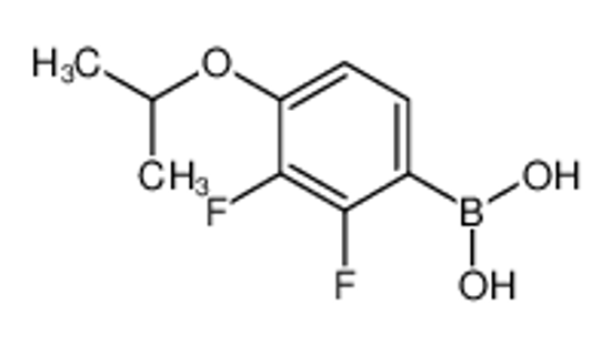 Picture of (2,3-Difluoro-4-isopropoxyphenyl)boronic acid