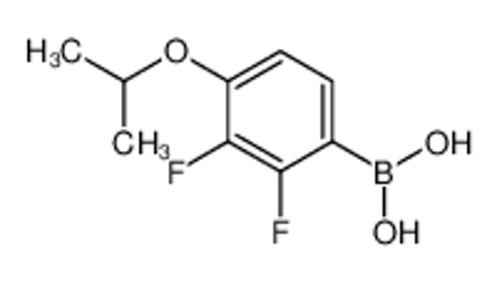 Изображение (2,3-Difluoro-4-isopropoxyphenyl)boronic acid