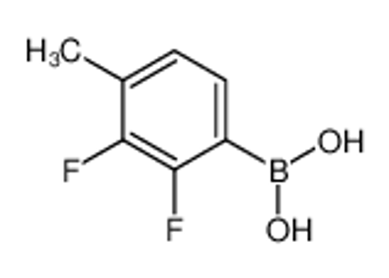 Picture of (2,3-Difluoro-4-methylphenyl)boronic acid