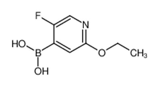 Picture of (2-Ethoxy-5-fluoropyridin-4-yl)boronic acid