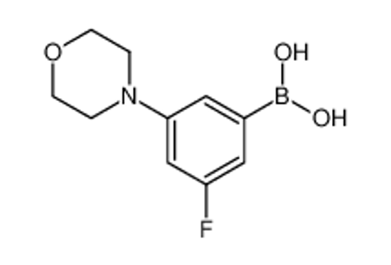 Picture of (3-Fluoro-5-morpholinophenyl)boronic acid