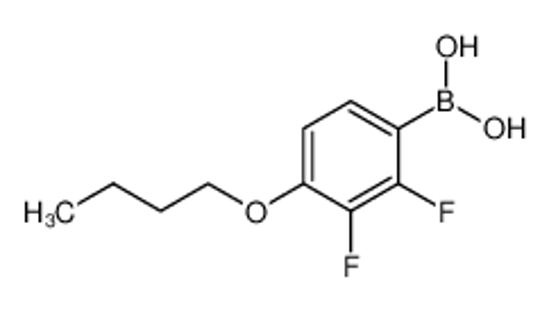 Picture of (4-butoxy-2,3-difluorophenyl)boronic acid