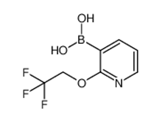 Imagem de (2-(2,2,2-Trifluoroethoxy)pyridin-3-yl)boronic acid