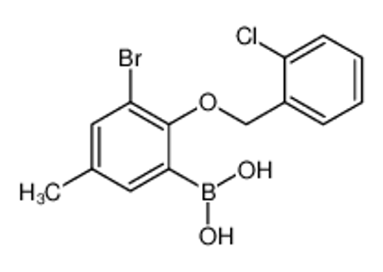 Imagem de (3-Bromo-2-((2-chlorobenzyl)oxy)-5-methylphenyl)boronic acid