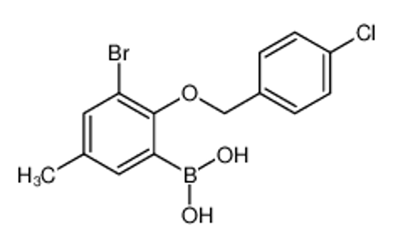 Imagem de (3-Bromo-2-((4-chlorobenzyl)oxy)-5-methylphenyl)boronic acid