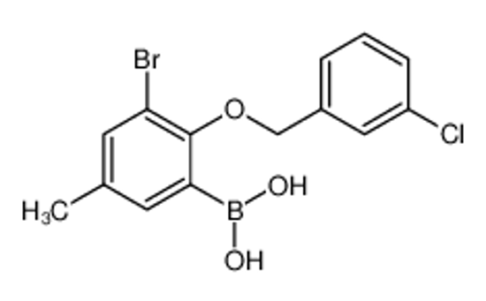 Picture of (3-Bromo-2-((3-chlorobenzyl)oxy)-5-methylphenyl)boronic acid