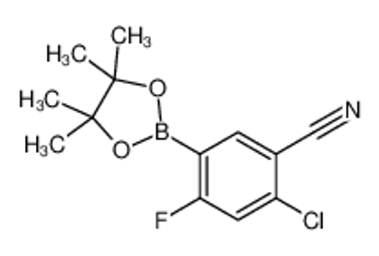Imagem de 2-Chloro-4-fluoro-5-(4,4,5,5-tetramethyl-1,3,2-dioxaborolan-2-yl)benzonitrile
