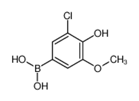 Изображение (3-Chloro-4-hydroxy-5-methoxyphenyl)boronic acid
