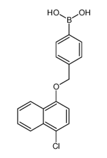 Picture of [4-[(4-chloronaphthalen-1-yl)oxymethyl]phenyl]boronic acid