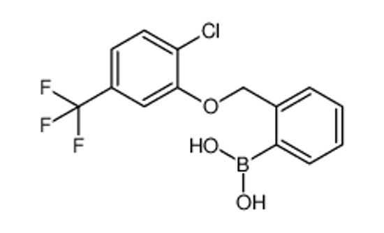 Imagem de (2-((2-Chloro-5-(trifluoromethyl)phenoxy)methyl)phenyl)boronic acid