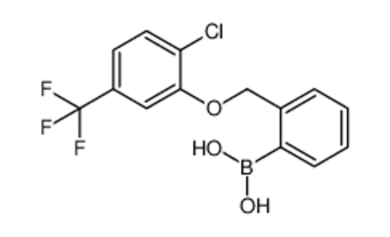 Picture of (2-((2-Chloro-5-(trifluoromethyl)phenoxy)methyl)phenyl)boronic acid