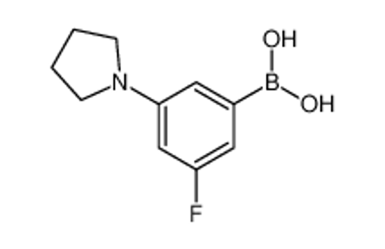 Picture of (3-Fluoro-5-(pyrrolidin-1-yl)phenyl)boronic acid