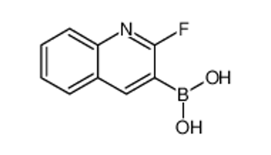 Picture of (2-Fluoroquinolin-3-yl)boronic acid