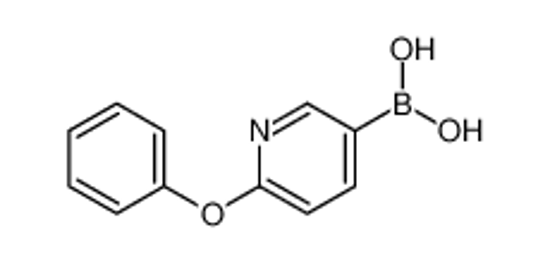 Imagem de (6-Phenoxypyridin-3-yl)boronic acid