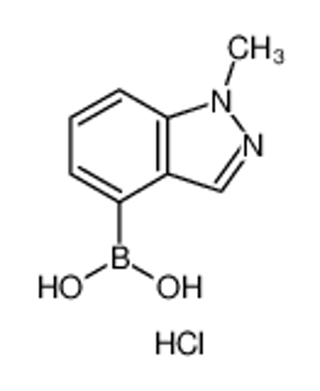 Picture of (1-Methyl-1H-indazol-4-yl)boronic acid hydrochloride