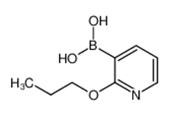 Picture of (2-Propoxypyridin-3-yl)boronic acid