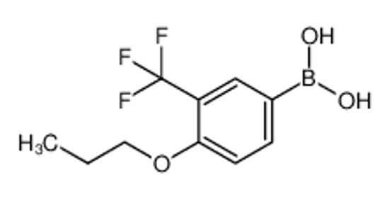 Picture of [4-propoxy-3-(trifluoromethyl)phenyl]boronic acid