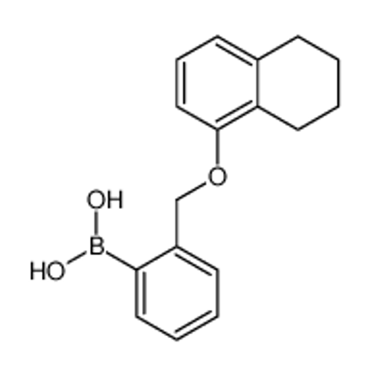 Picture of [2-(5,6,7,8-tetrahydronaphthalen-1-yloxymethyl)phenyl]boronic acid