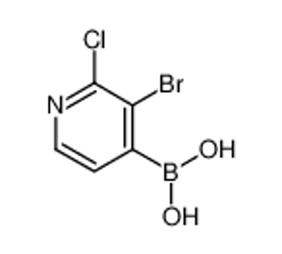 Picture of (3-Bromo-2-chloropyridin-4-yl)boronic acid