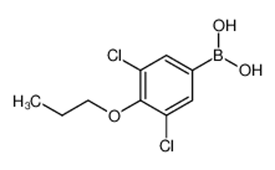 Изображение (3,5-Dichloro-4-propoxyphenyl)boronic acid