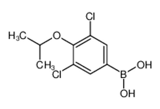 Picture of (3,5-Dichloro-4-isopropoxyphenyl)boronic acid