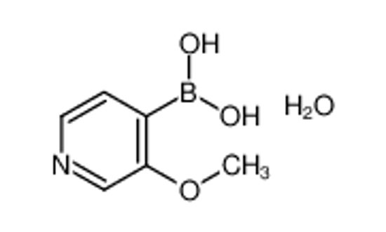 Picture of (3-methoxypyridin-4-yl)boronic acid,hydrate