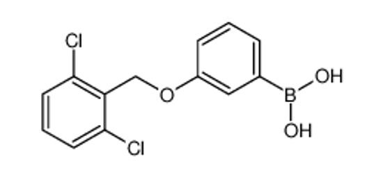 Picture of [3-[(2,6-dichlorophenyl)methoxy]phenyl]boronic acid