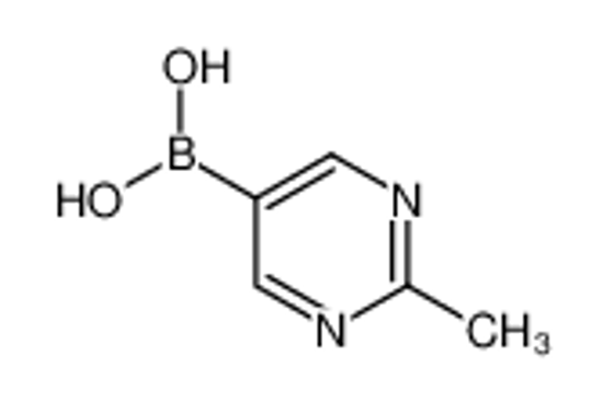 Изображение (2-Methylpyrimidin-5-yl)boronic acid