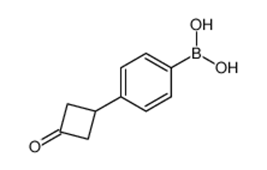 Imagem de [4-(3-oxocyclobutyl)phenyl]boronic acid