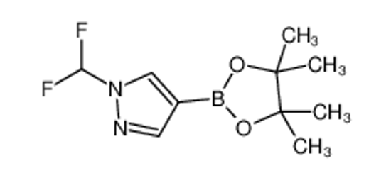 Изображение 1-(difluoromethyl)-4-(4,4,5,5-tetramethyl-1,3,2-dioxaborolan-2-yl)pyrazole