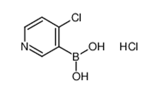 Picture of (4-chloropyridin-3-yl)boronic acid,hydrochloride
