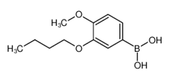 Picture of (3-Butoxy-4-methoxyphenyl)boronic acid