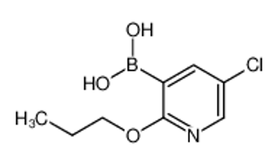 Picture of 5-Chloro-2-propoxypyridine-3-boronic acid