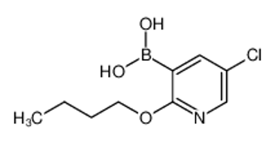 Picture of (2-Butoxy-5-chloropyridin-3-yl)boronic acid