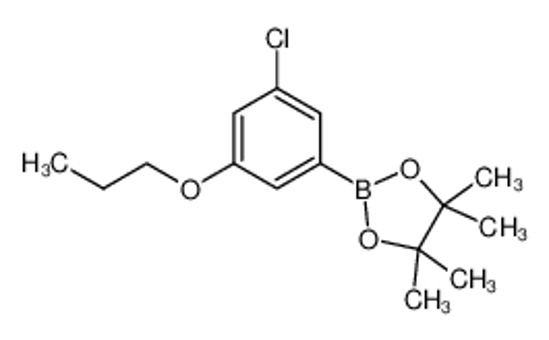 Picture of 3-Chloro-5-propoxyphenylboronic acid, pinacol ester