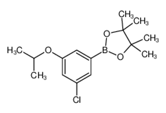 Picture of 3-Chloro-5-isopropoxyphenylboronic acid, pinacol ester