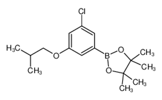Picture of 3-Chloro-5-isobutoxyphenylboronic acid, pinacol ester