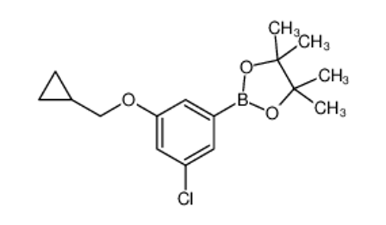 Picture of 3-Chloro-5-cyclopropylmethoxyphenylboronic acid, pinacol ester