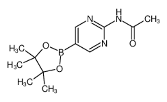 Изображение 2-Acetamidopyrimidine-5-boronic acid, pinacol ester