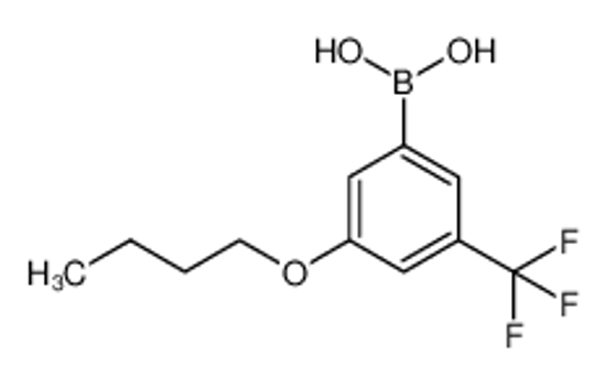 Picture of [3-butoxy-5-(trifluoromethyl)phenyl]boronic acid