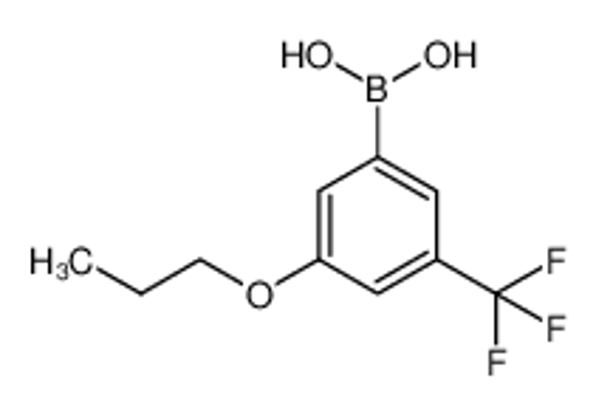 Picture of [3-propoxy-5-(trifluoromethyl)phenyl]boronic acid