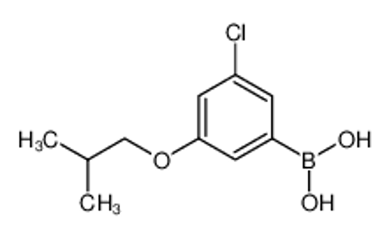 Picture of [3-chloro-5-(2-methylpropoxy)phenyl]boronic acid