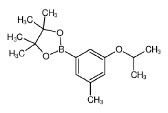 Picture of 3-Isopropoxy-5-methylphenylboronic acid, pinacol ester