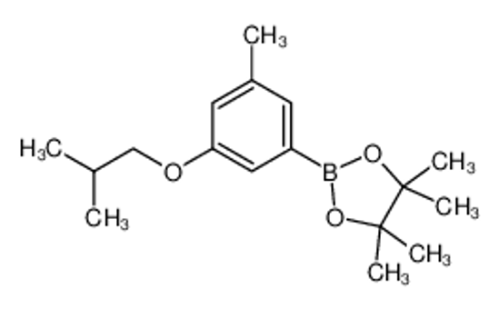 Picture of 3-Isobutoxy-5-methylphenylboronic acid, pinacol ester